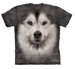 #1: ALASKAN MALAMUTE 
