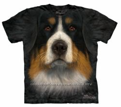 #2: BERNESE MTN DOG 