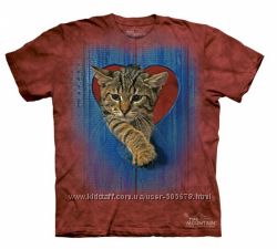 #5: HEART KITTEN 