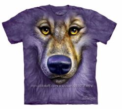 #6: FRIENDLY WOLF FACE