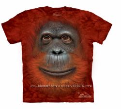 #8: ORANGUTAN FACE