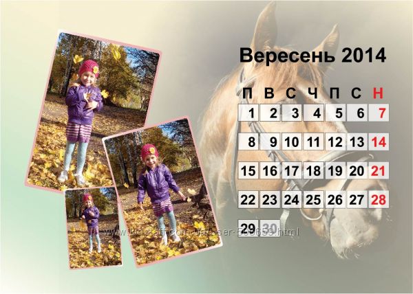 образцы 2014 адаптируются к 2016