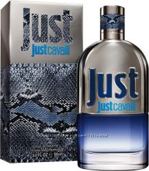 #2: Just Cavalli Him