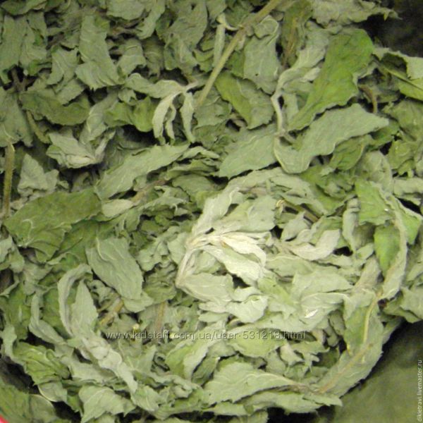 Хмель, мята, аир, лопух, алое фиточаи 2020