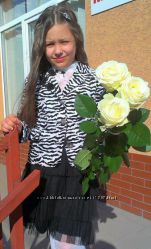 #8: Шикарный