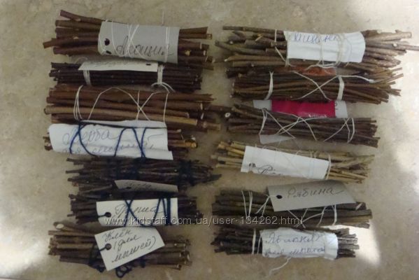 Вкусняшки для грызунов