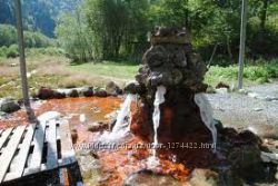 Оленёво минеральная вода из источника, тип Боржоми, природная, свежая, жива
